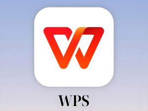 WPS 网站