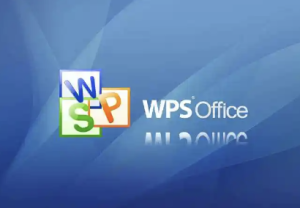 WPS 演示文稿