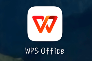 WPS软件程序