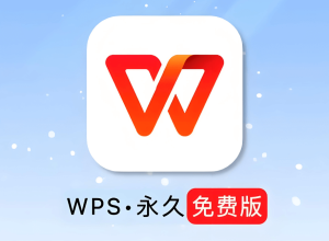 WPS Office 远程办公
